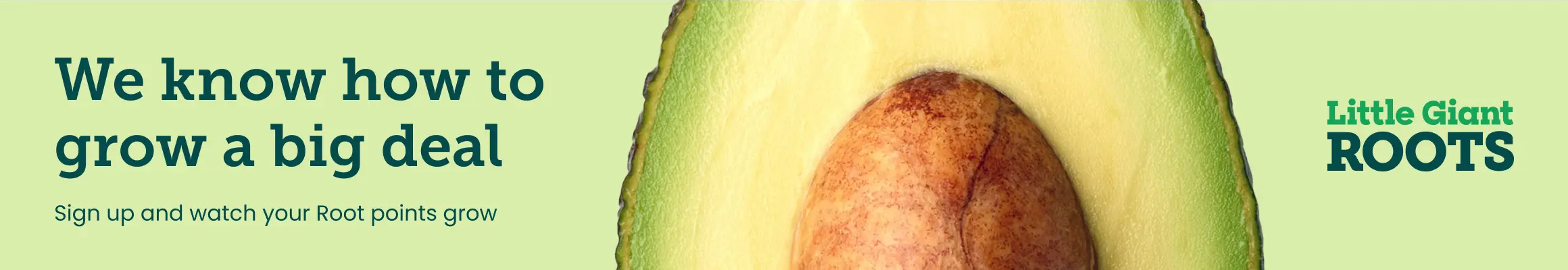 Loyalty Program Banner 3